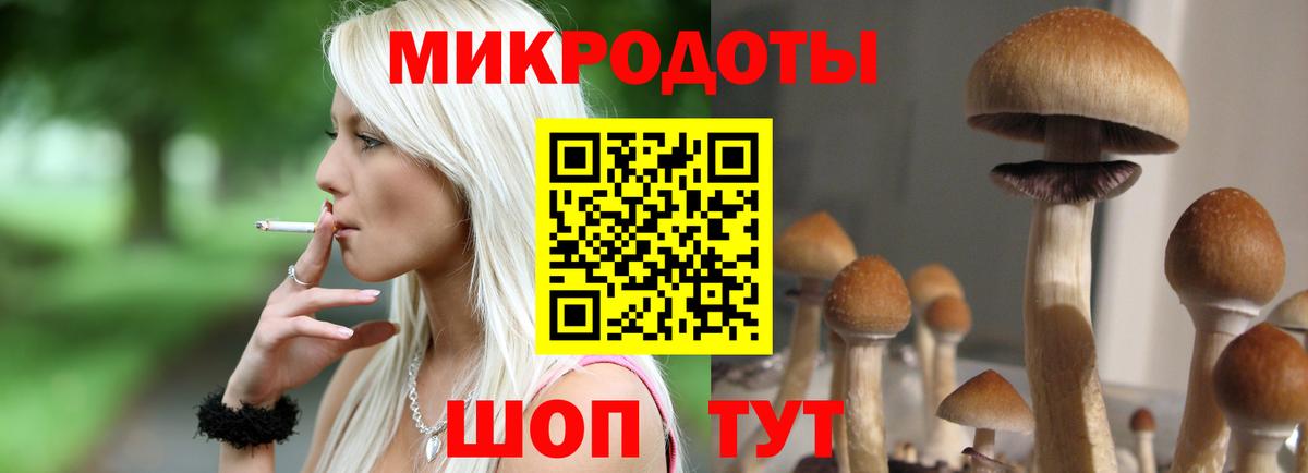 Галлюциногенные грибы мицелий Людиново